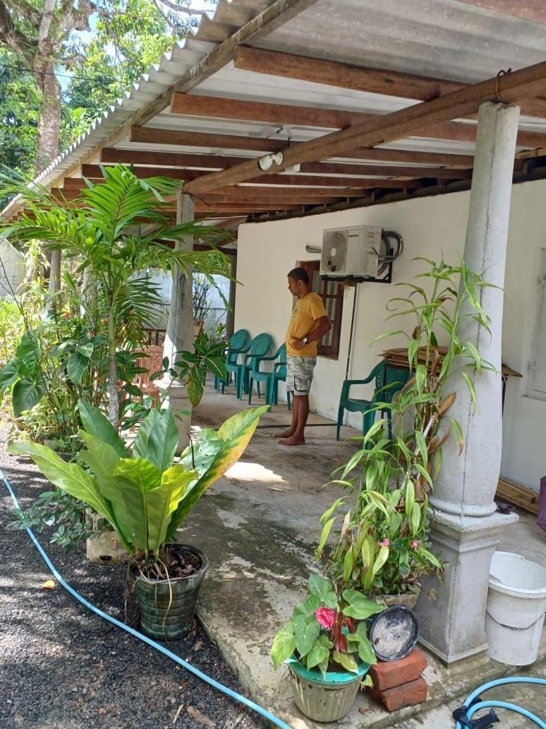 50* Stay Dikwella Extérieur photo