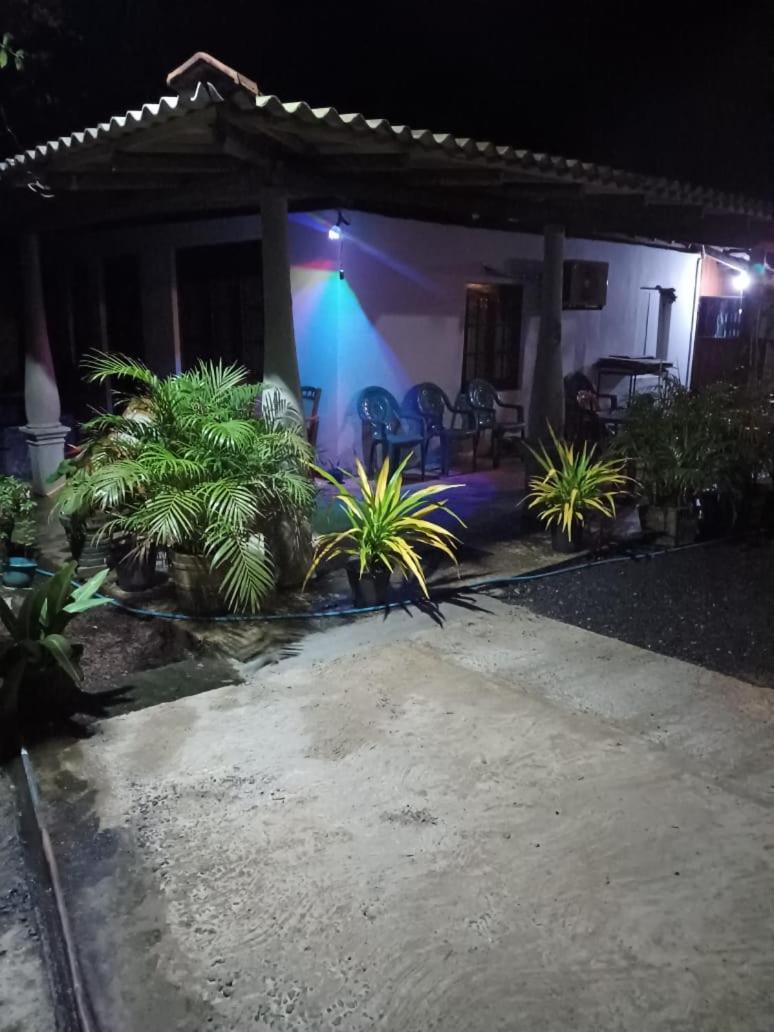 50* Stay Dikwella Extérieur photo